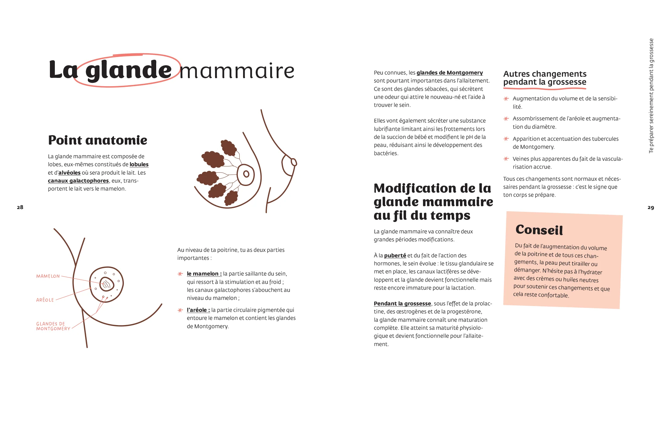 Image du produit 19