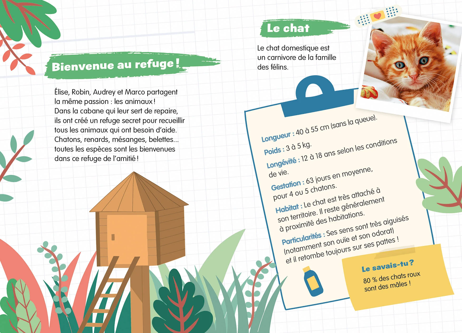 Image du produit 8
