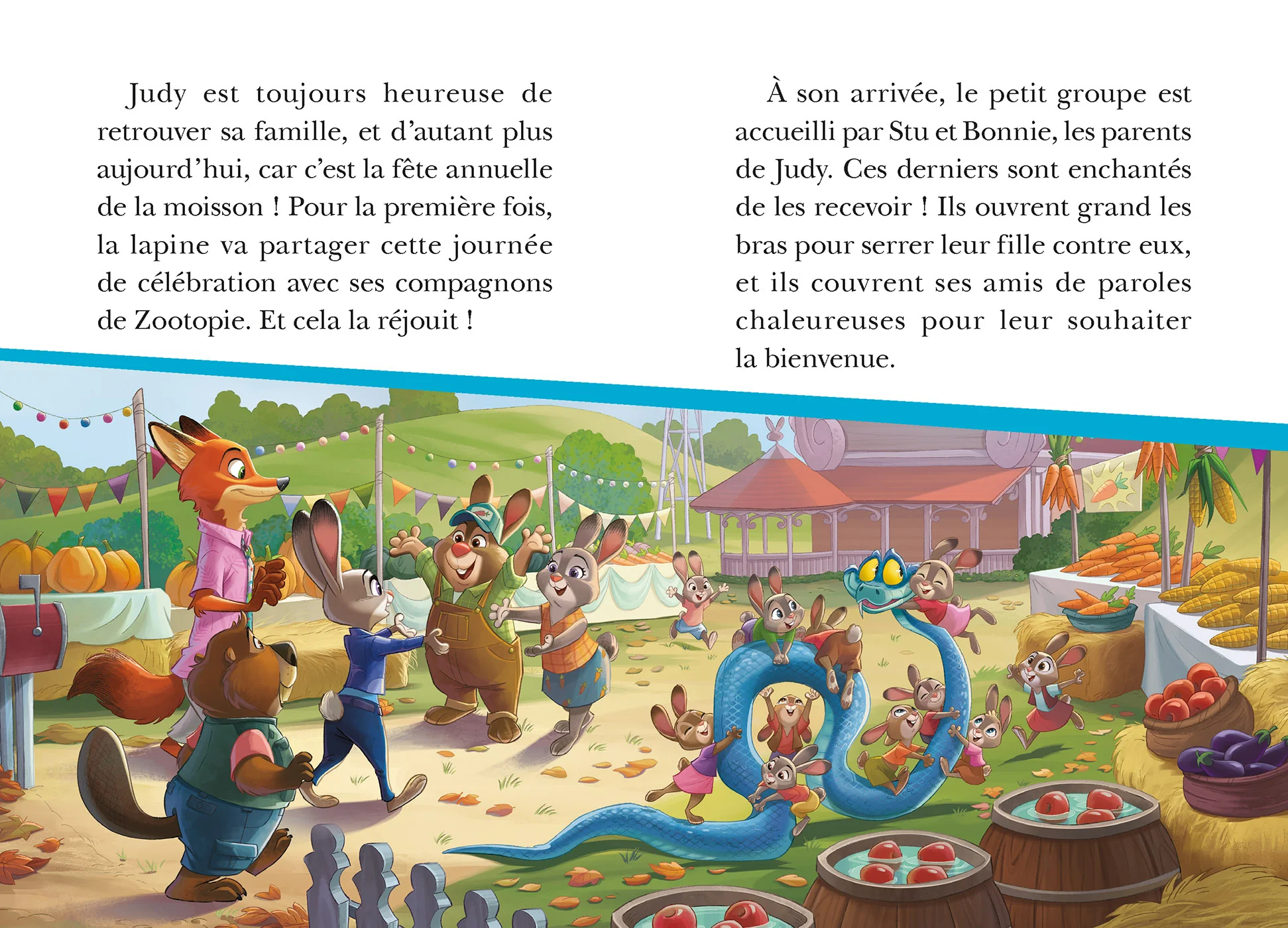 Image du produit 17