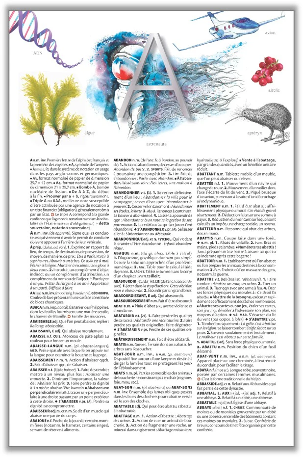 Image du produit 12