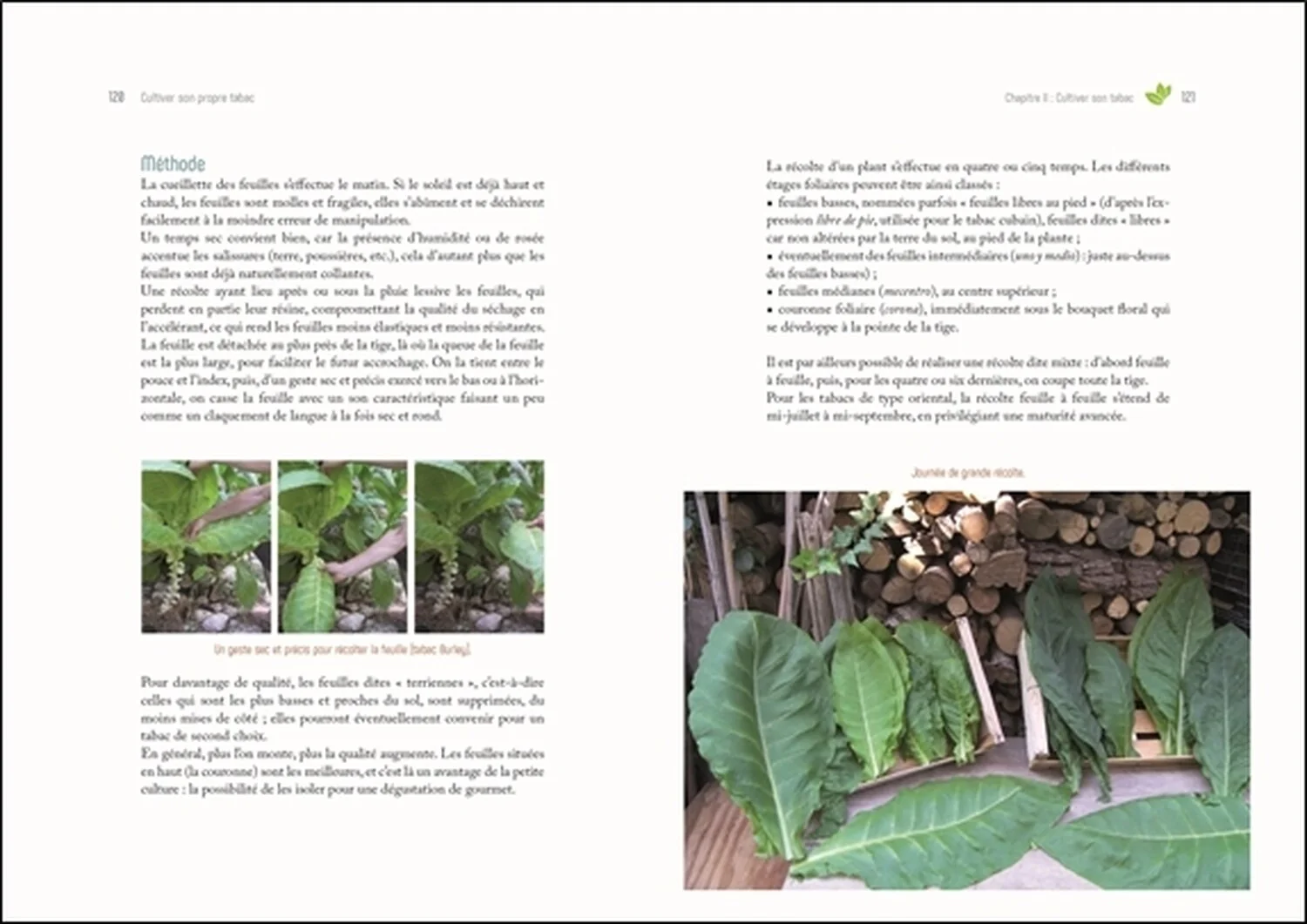 Image du produit 24