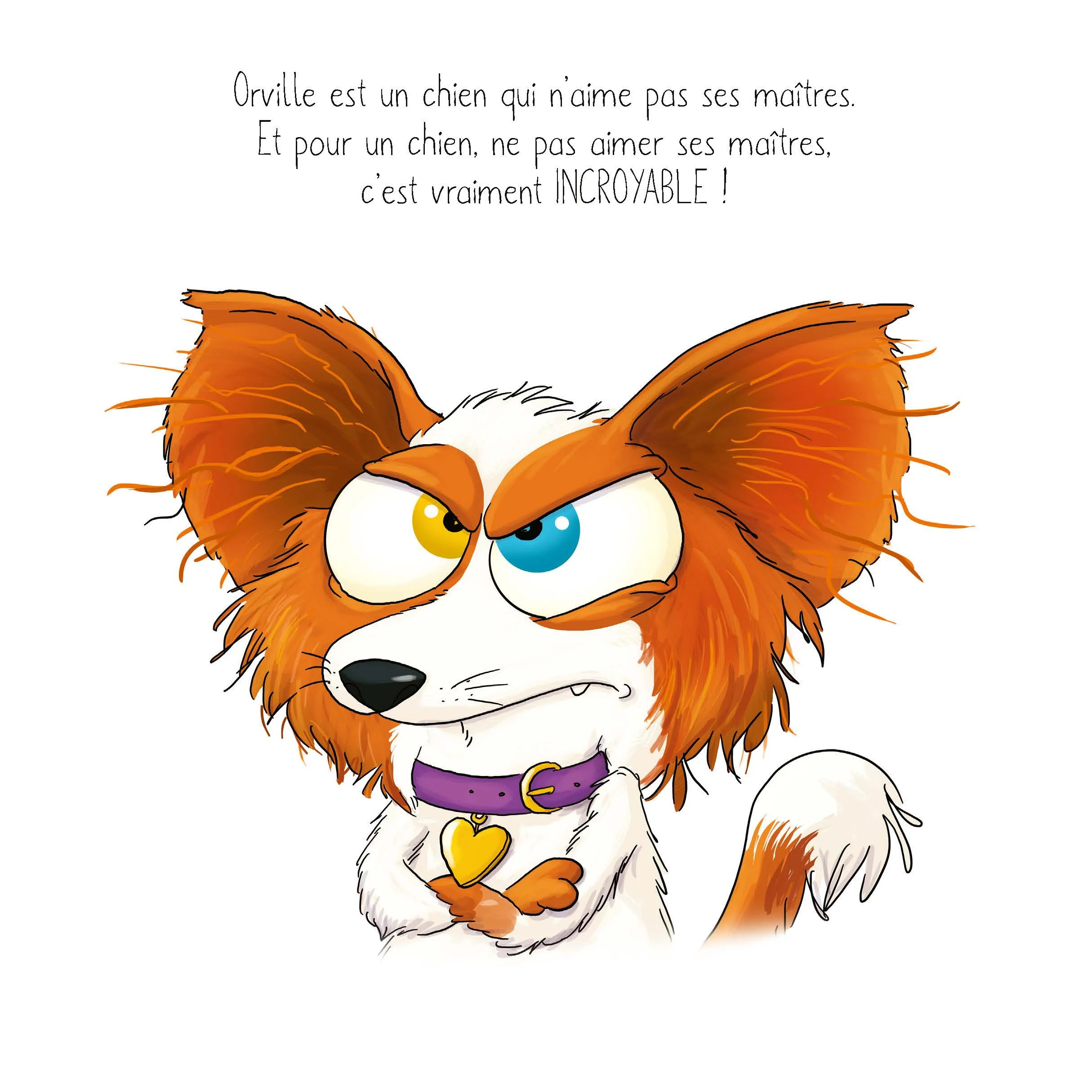Image du produit 10