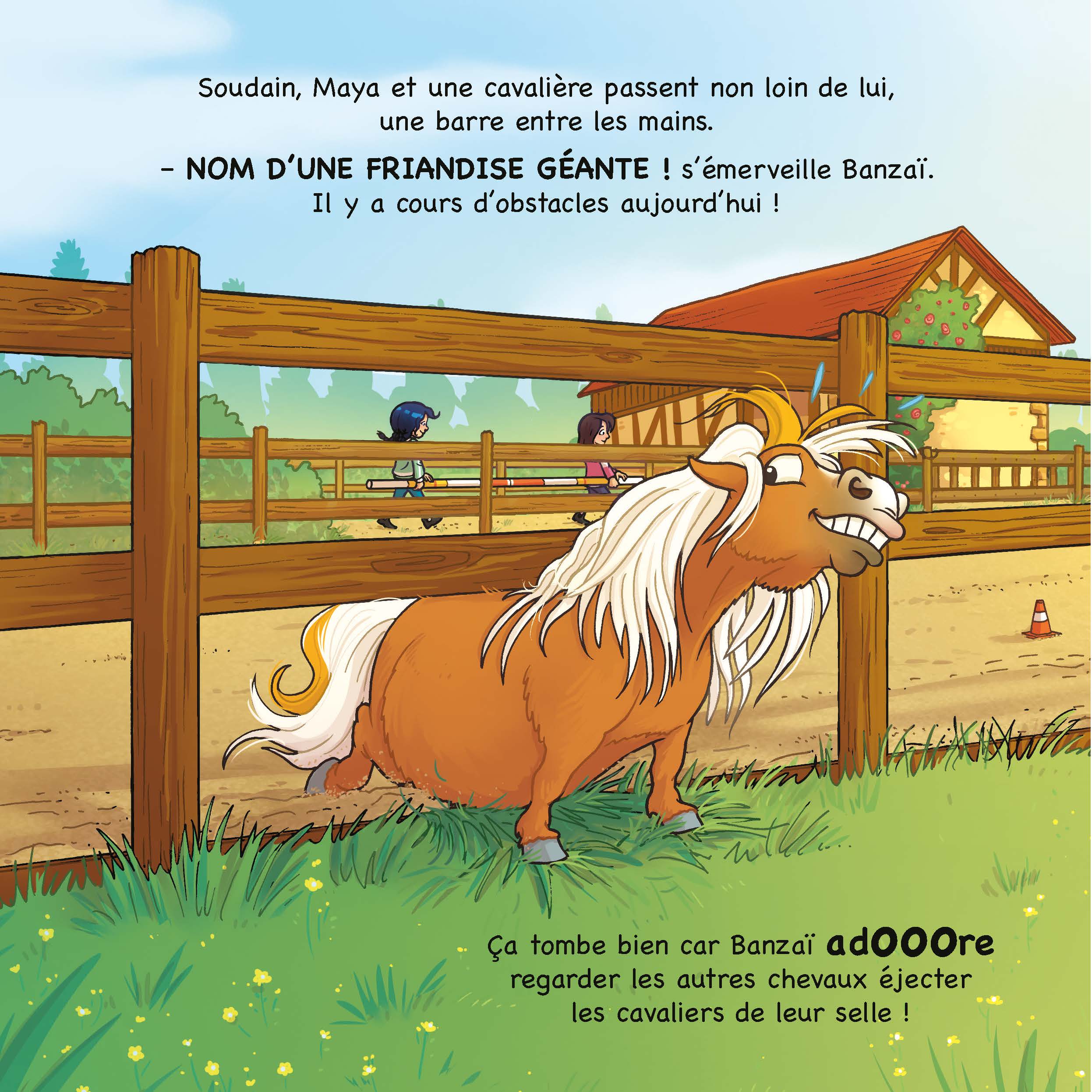 Image du produit 11