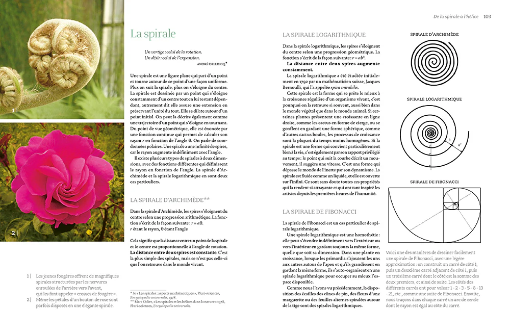 Image du produit 17