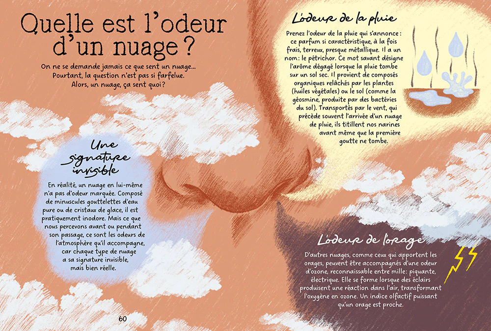 Image du produit 15