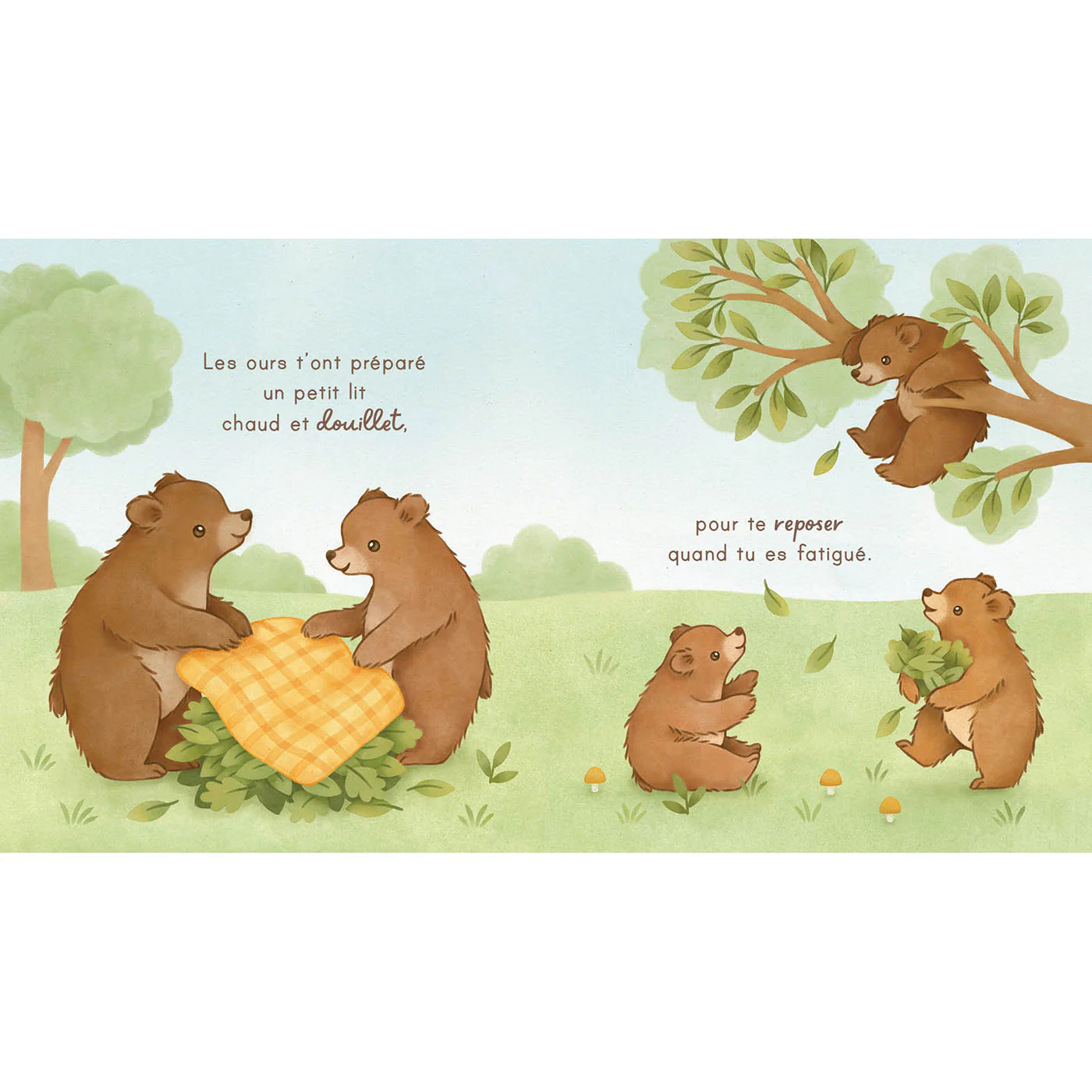 Image du produit 12