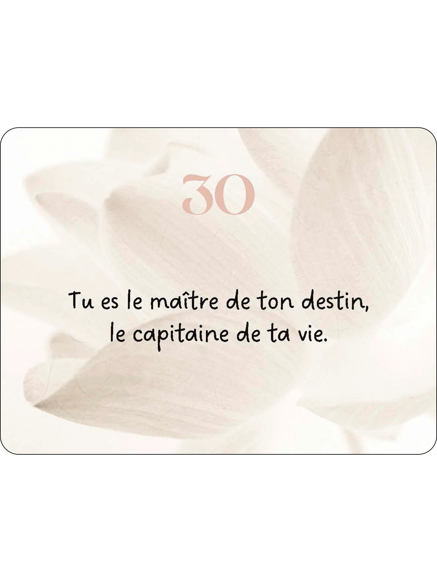 Image du produit 102