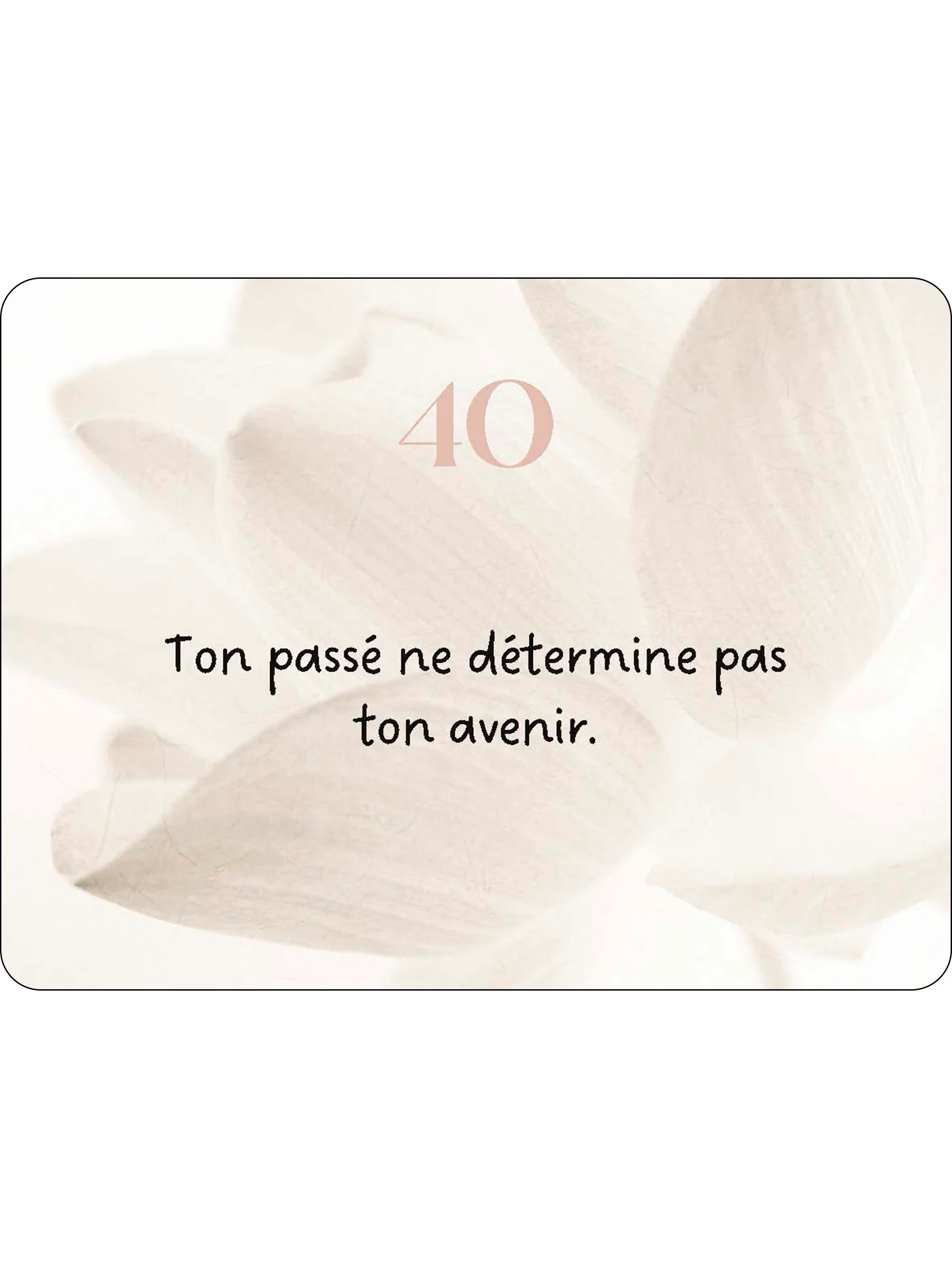 Image du produit 61