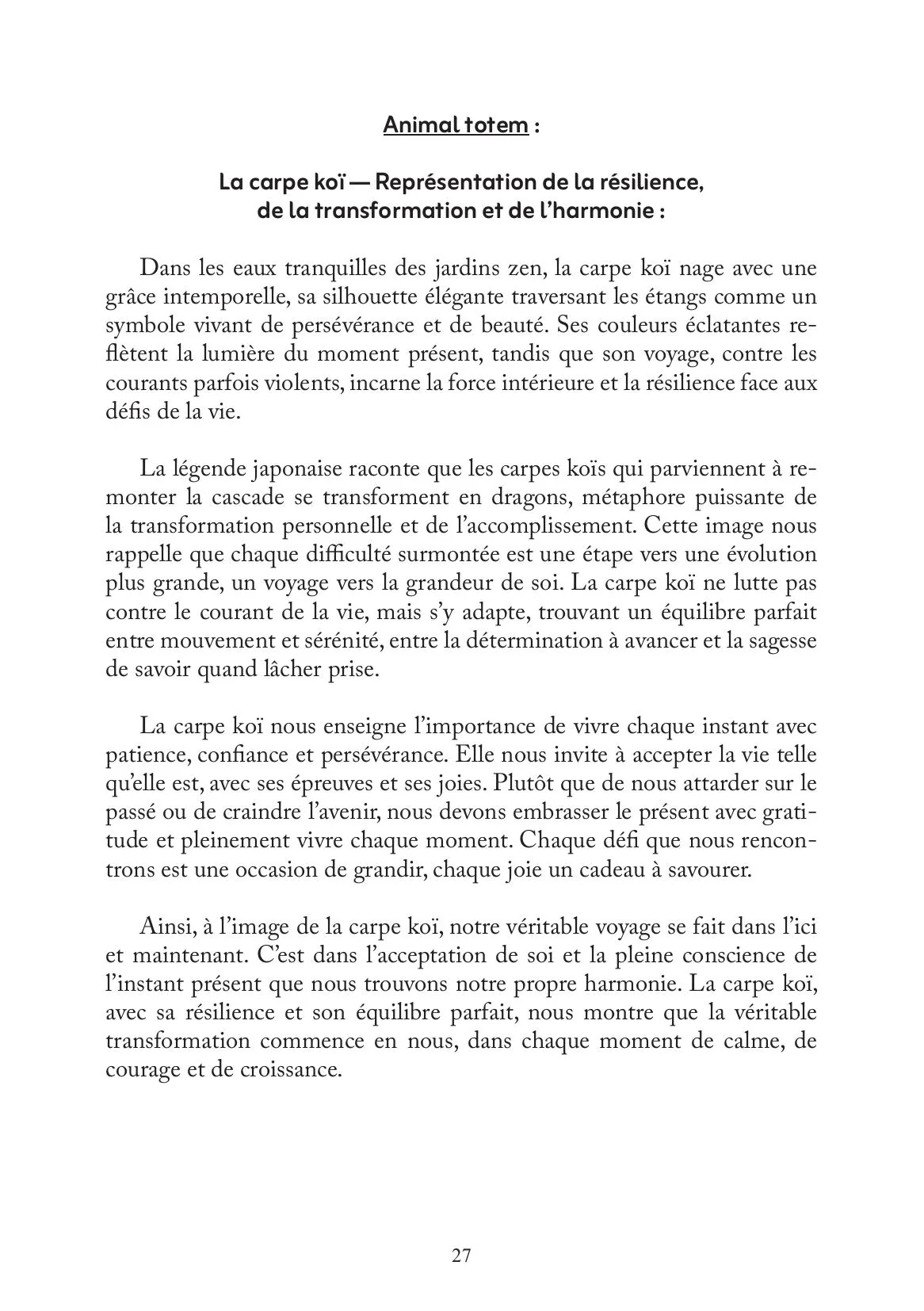 Image du produit 24