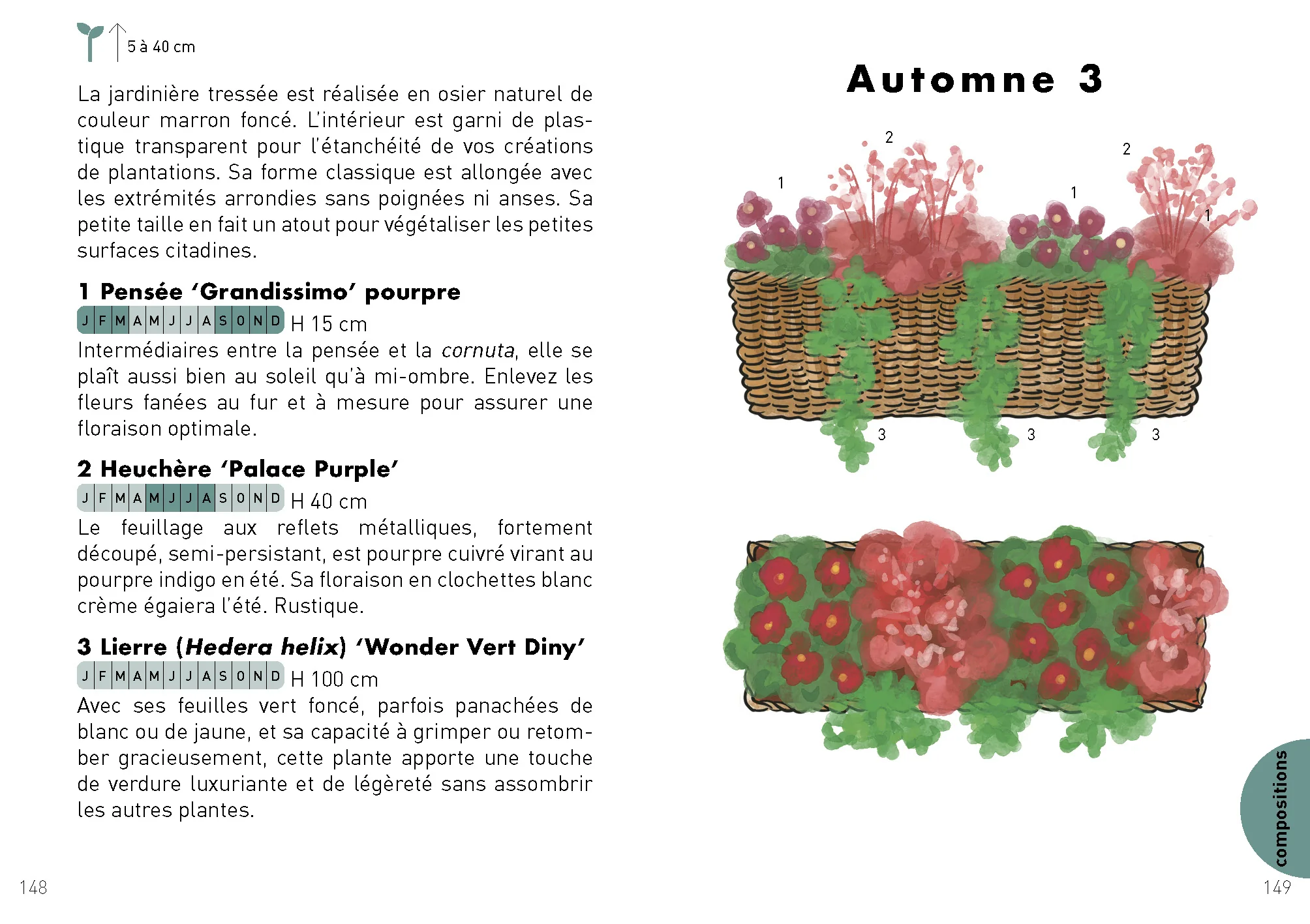 Image du produit 12