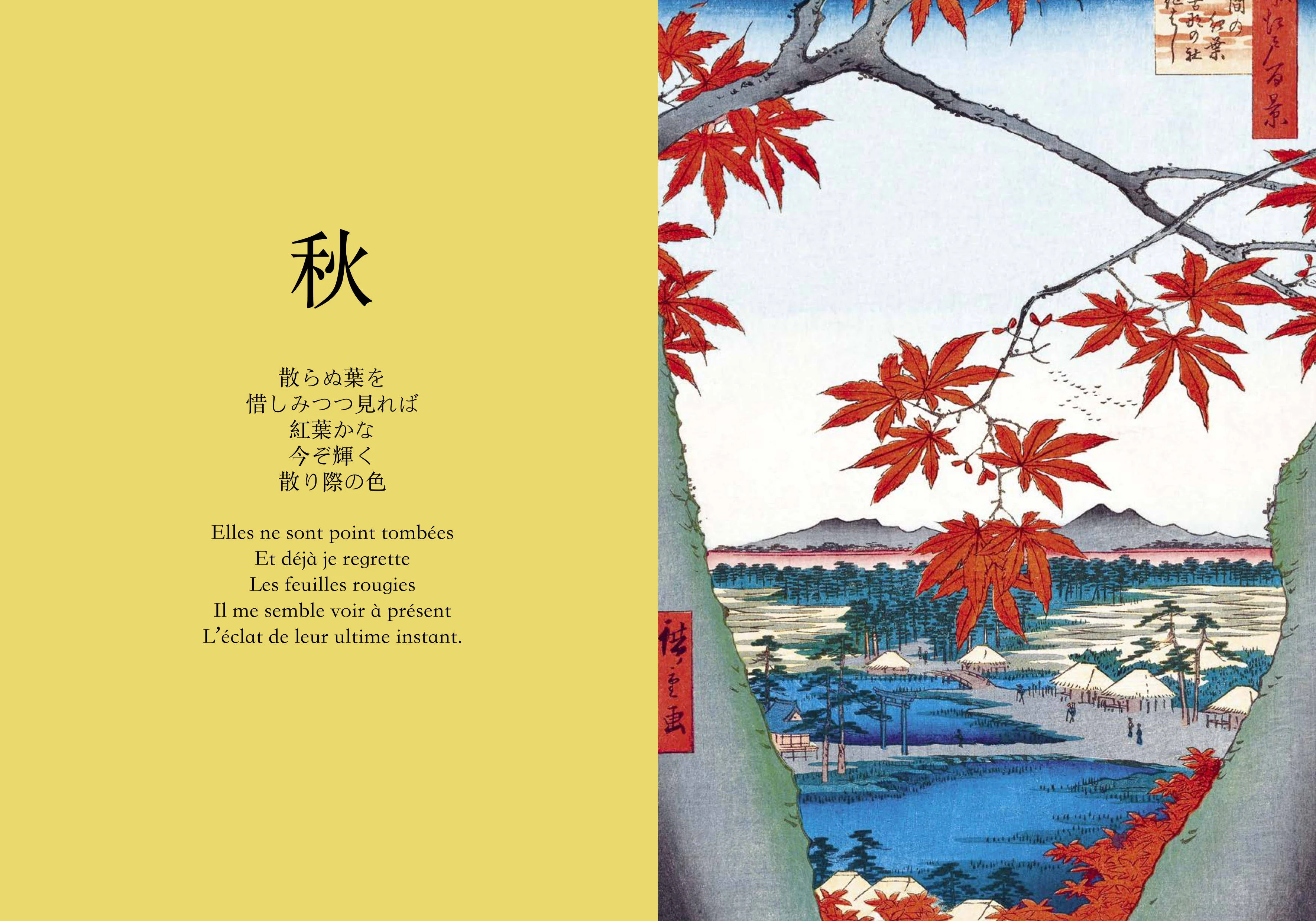 Image du produit 17