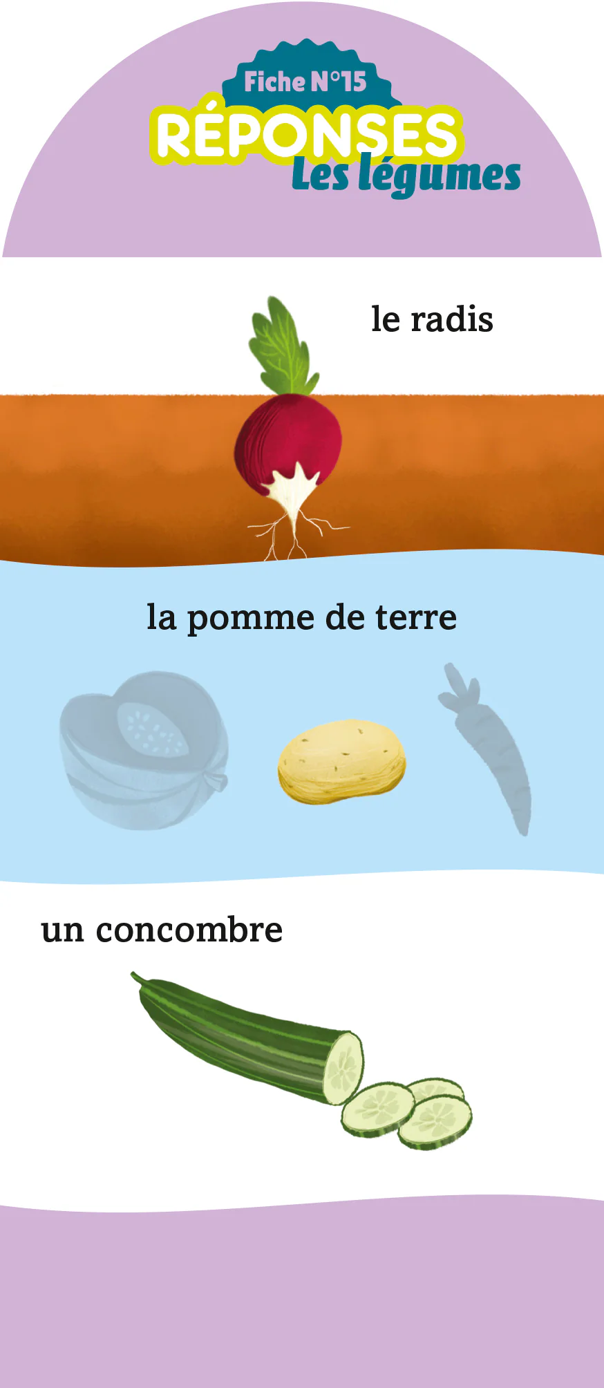 Image du produit 24