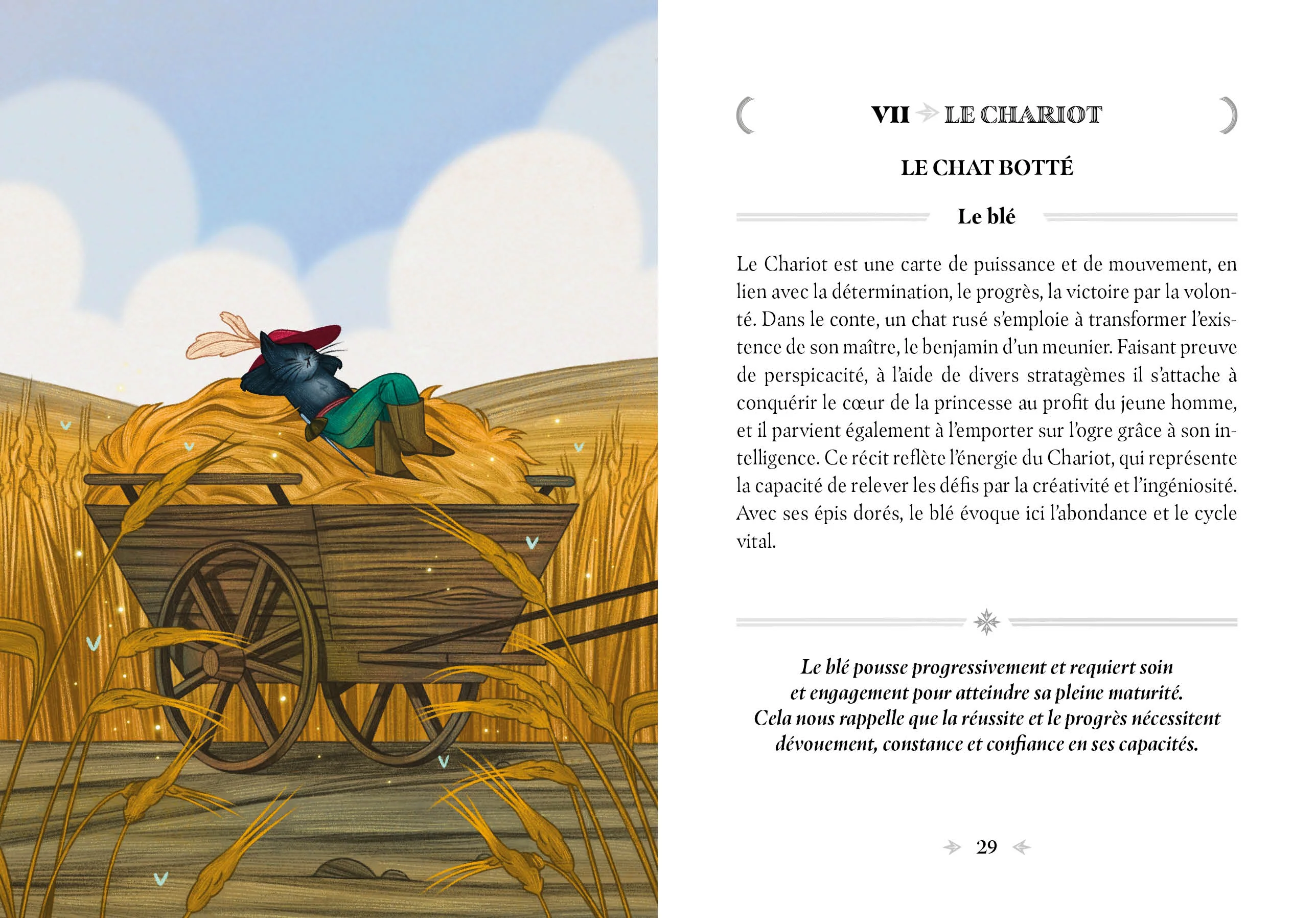 Image du produit 44