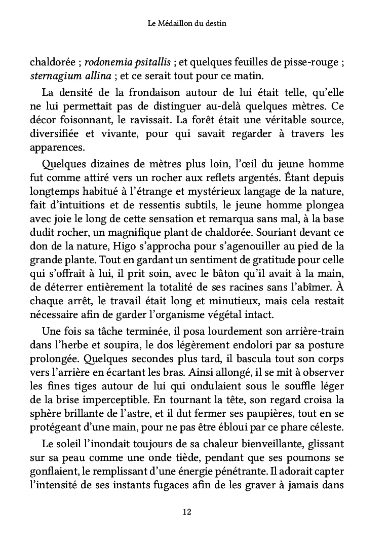 Image du produit 20