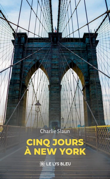 Image du produit 12