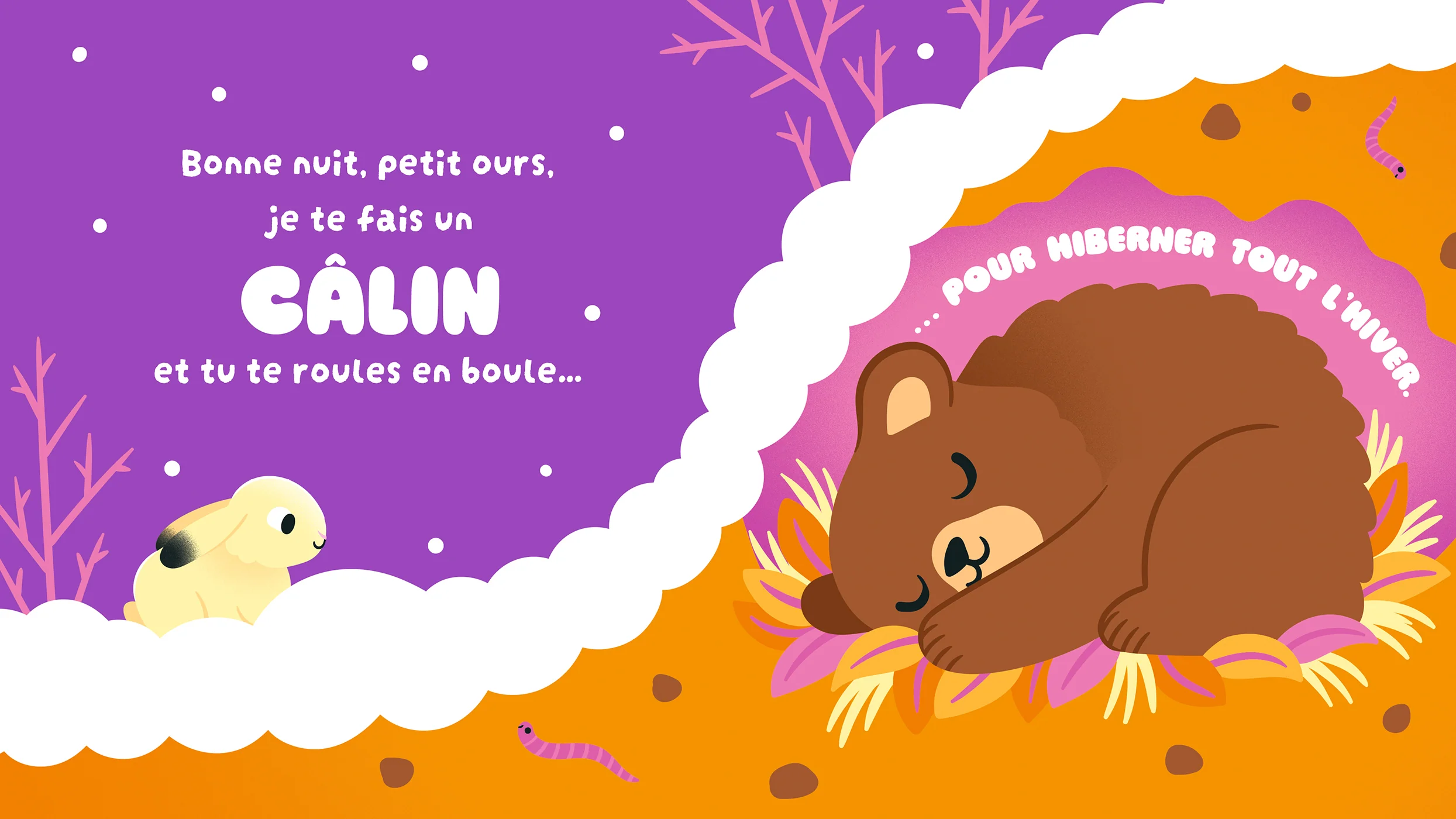 Image du produit 12